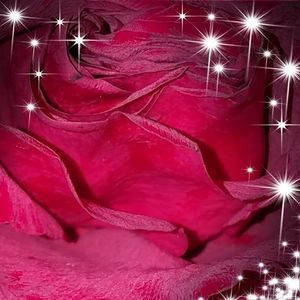 Meet your Posher, Maureen